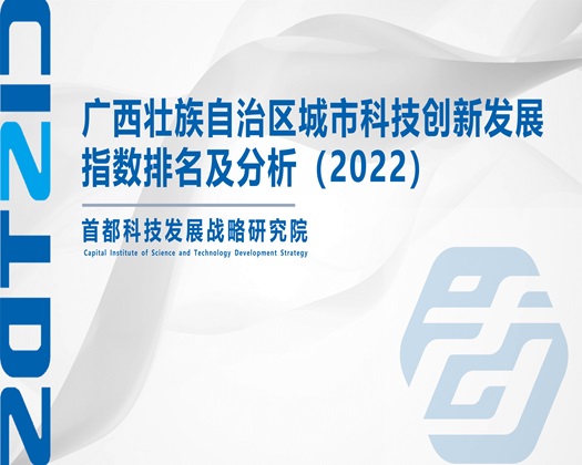 荡货喷水口交【成果发布】广西壮族自治区城市科技创新发展指数排名及分析（2022）